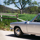 Illustration for article titled The Classic BMW You Probably Havent Heard Of Is A Dream To Driveem/em